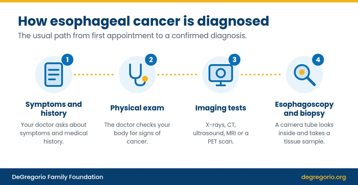 Four-step diagram of how esophageal cancer is diagnosed: symptoms and history, physical exam, imaging tests, and esophagoscopy with biopsy