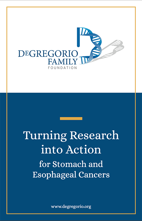 Turning Research into Action brochure