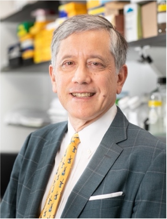 Timothy C. Wang, MD